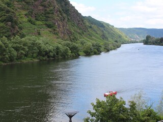 Appartement Cochem Environnement 18