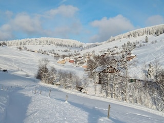Ferienwohnung Todtnauberg Umgebung 32