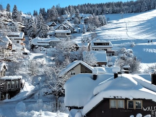 Ferienwohnung Todtnauberg Umgebung 34