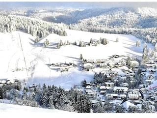 Ferienwohnung Todtnauberg Umgebung 35