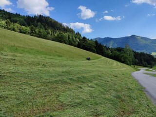 Appartement Puch bei Hallein Omgeving 16
