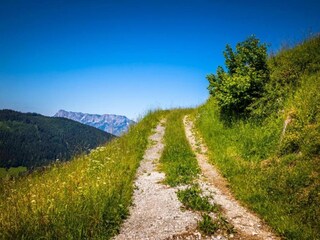 Appartement Puch bei Hallein Environnement 24