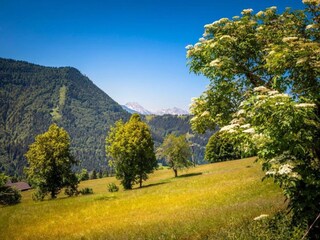 Appartement Puch bei Hallein Omgeving 14