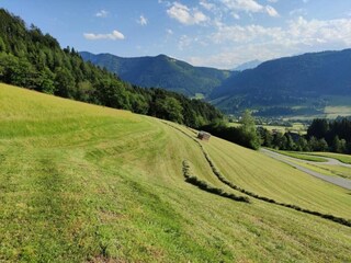 Appartamento Puch bei Hallein Ambiente 20