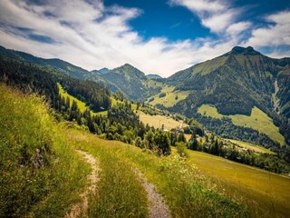 Appartement Puch bei Hallein Environnement 28