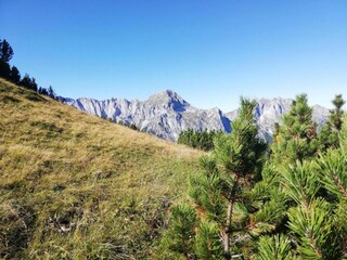 Appartement Puch bei Hallein Environnement 19