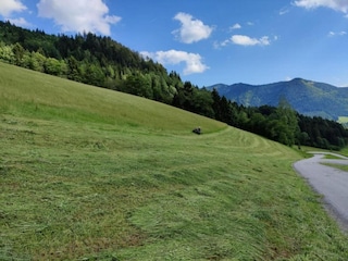 Appartement Puch bei Hallein Environnement 27