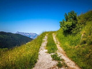 Appartement Puch bei Hallein Environnement 22