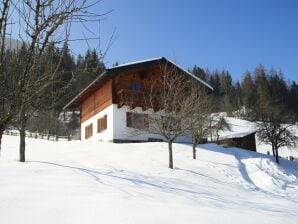 Vakantiehuis in Hüttau vlakbij skigebied - Huttau - image1