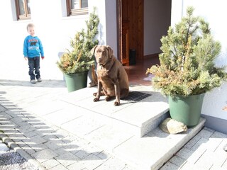 Casa de vacaciones Hüttau  40