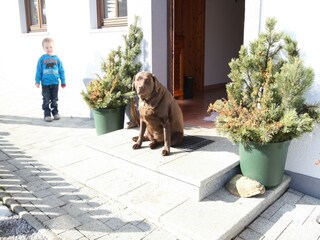 Appartamento Hüttau  22