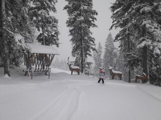 Type de propriété : Chalet Eben im Pongau Environnement 23