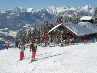 Type de propriété : Chalet Eben im Pongau Environnement 21