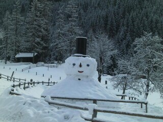 Cottage Eben im Pongau Environment 31