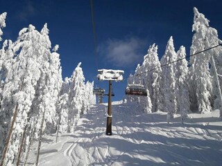 Casale Eben im Pongau Ambiente 29