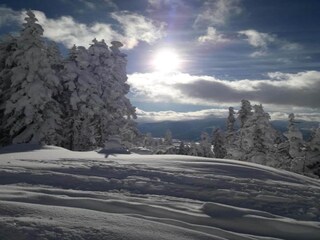 Landhaus Eben im Pongau Umgebung 37