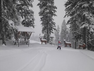 Type de propriété : Chalet Eben im Pongau Environnement 22