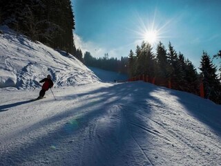 Type de propriété : Chalet Eben im Pongau Environnement 35