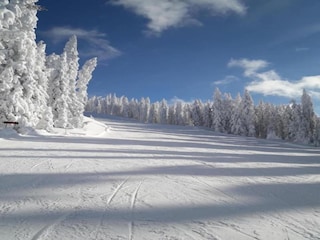 Landhaus Eben im Pongau Umgebung 39