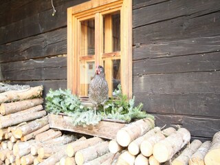 Type de propriété : Chalet Eben im Pongau  23