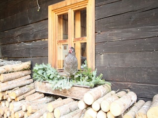 Landhaus Eben im Pongau  24