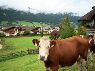 Appartamento Altenmarkt Ambiente 23