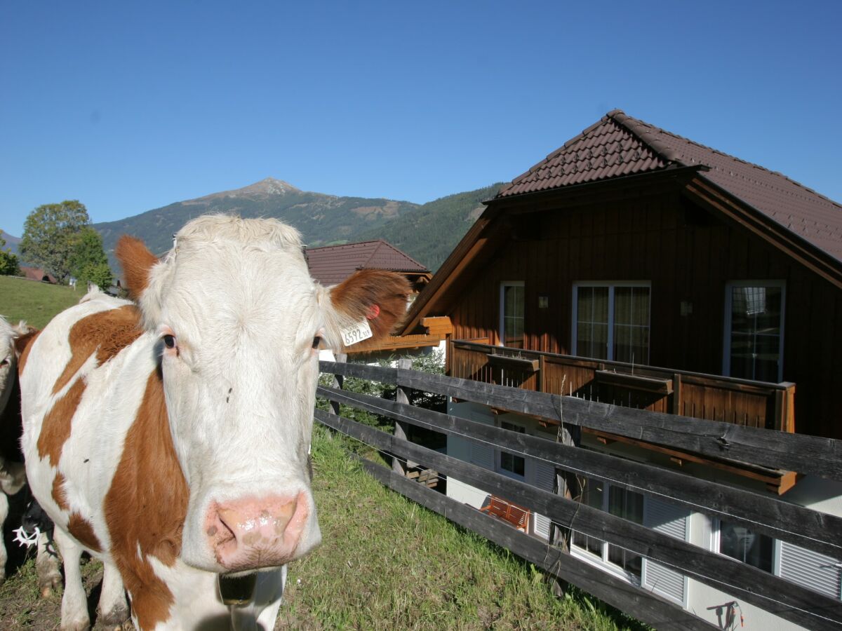 Chalet Sankt Margarethen im Lungau Außenaufnahme 3