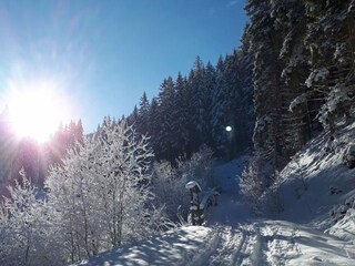 Appartamento Sankt Margarethen im Lungau Ambiente 28