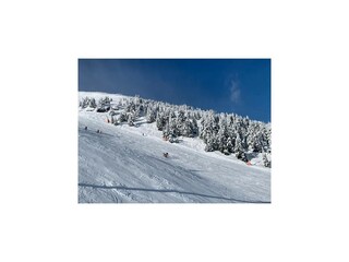 Appartamento Sankt Michael im Lungau Ambiente 18