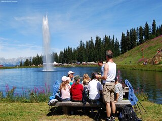 Appartamento Wagrain Ambiente 27