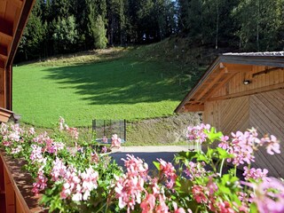 Apartment Flachau Outdoor Recording 6