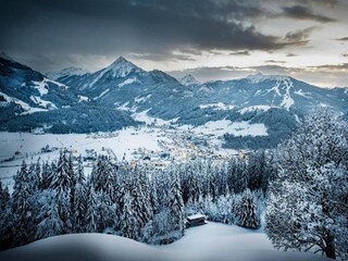 Appartamento Flachau Ambiente 41