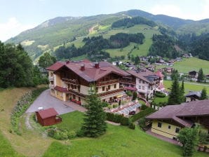 Apartment Wohnung in Kleinarl, Salzburg mit Wellness-Center - Kleinarl - image1