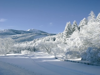 Apartment Kleinarl Umgebung 26