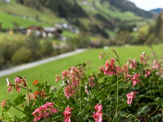 Appartamento Großarl  19