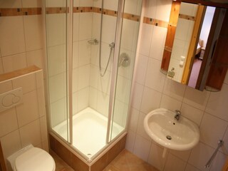 Apartamento Großarl Características 12