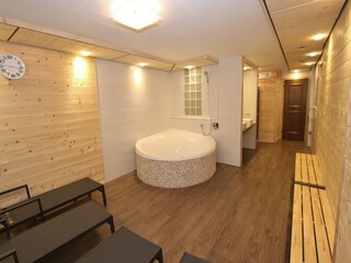Chalet Großarl Características 31