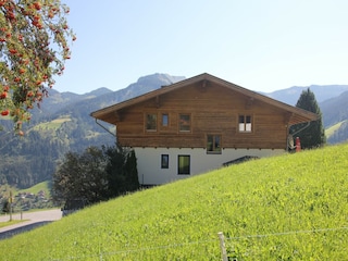 Chalet Großarl  44