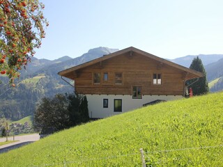 Chalet Großarl  49