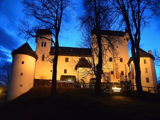Ferienhaus Goldegg Umgebung 15