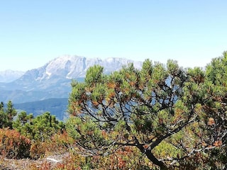Ferienhaus Goldegg Umgebung 35