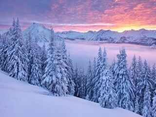 Ferienhaus Goldegg Umgebung 36