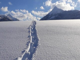 Vakantiehuis Goldegg Omgeving 32