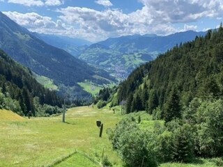 Type de propriété : Chalet Goldegg Environnement 25
