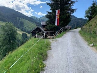 Type de propriété : Chalet Goldegg Environnement 26