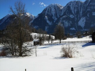 Type de propriété : Chalet Goldegg Environnement 19