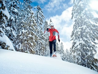 Type de propriété : Chalet Goldegg Environnement 27