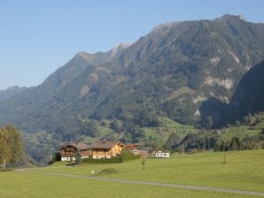 Apartment in Embach, Österreich nahe Skigebiet - Lend - image1