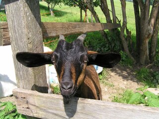 Apartamento Lend Entorno 18