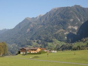 Apartment Wohnung in Embach nahe Gastein Skigebiet - Lend - image1